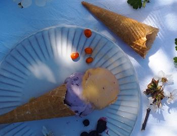 Blackcurrant ice cream with licorice and sea buckthorn ice cream with lemon